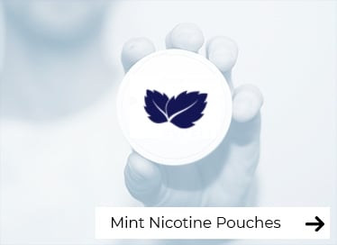Mint Nicotine Pouches