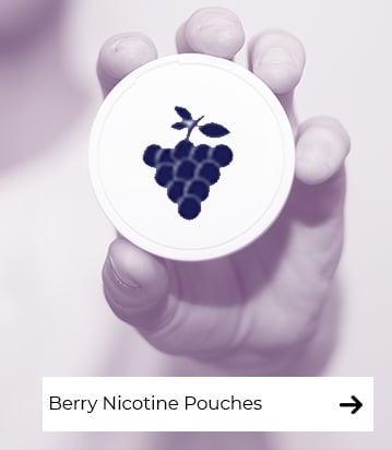 Berry Nicotine Pouches