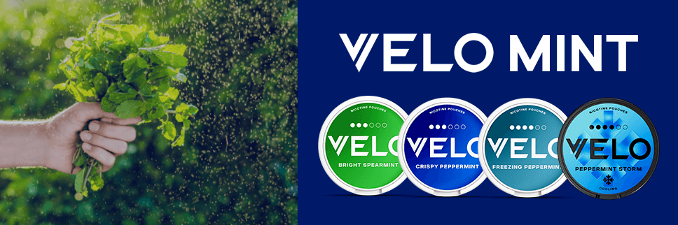 What are VELO Mint nicotine pouches