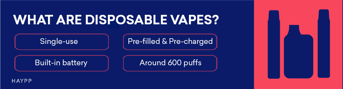 What are Disposable Vapes - An Overview