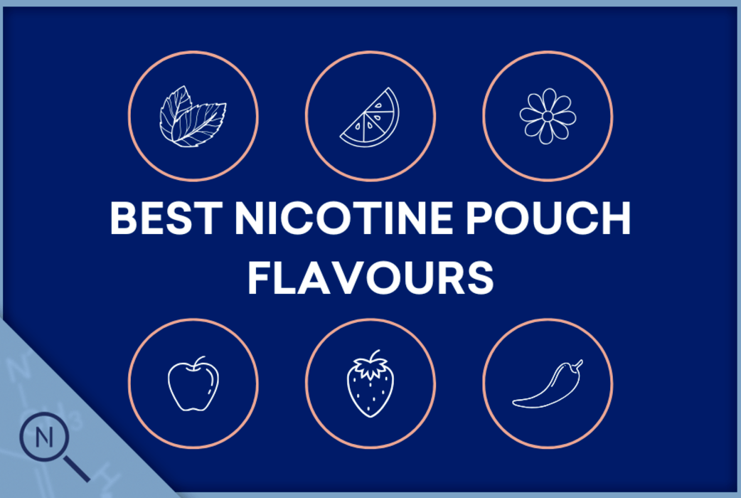 The Best Flavour Nicotine Pouches