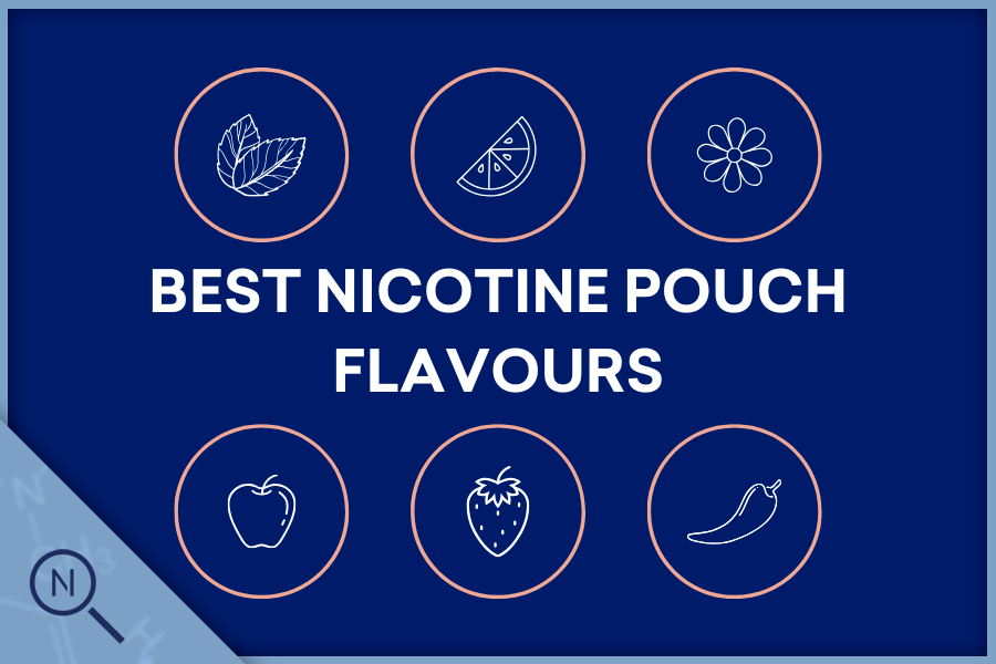 The Best Flavour Nicotine Pouches