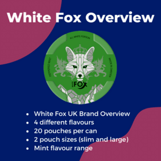 What are White Fox nicotine pouches? A guide