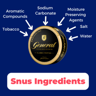 What is snus