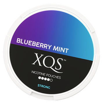 XQS Blueberry Mint Slim Stark Nikotinbeutel
