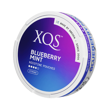 XQS Blueberry Mint Slim Stark Nicotine Pouches