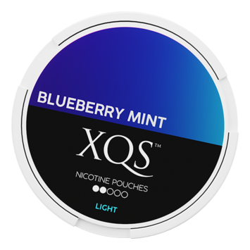 XQS Blueberry Mint Slim Normal Nikotinbeutel