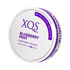 XQS Blueberry Mint Nikotinfrei