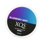 XQS Blueberry Mint Extra Strong
