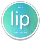 Lip Minty Dream Slim Normal