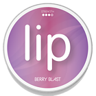 Lip Berry Blast Slim Normal