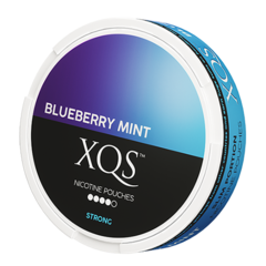 XQS Blueberry Mint Slim Extra Strong