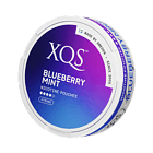XQS Blueberry Mint Extra Strong