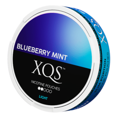 XQS Blueberry Mint Slim ◉◉◎◎