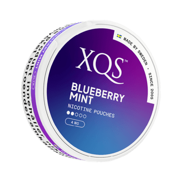 XQS Blueberry Mint Normal