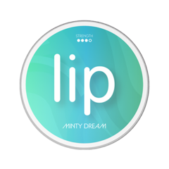 Lip Minty Dream Slim Normal